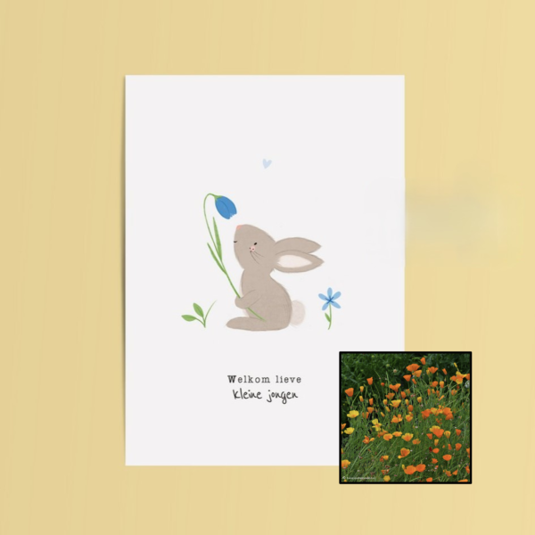 Welkom Jongen | Bloemenzaad
