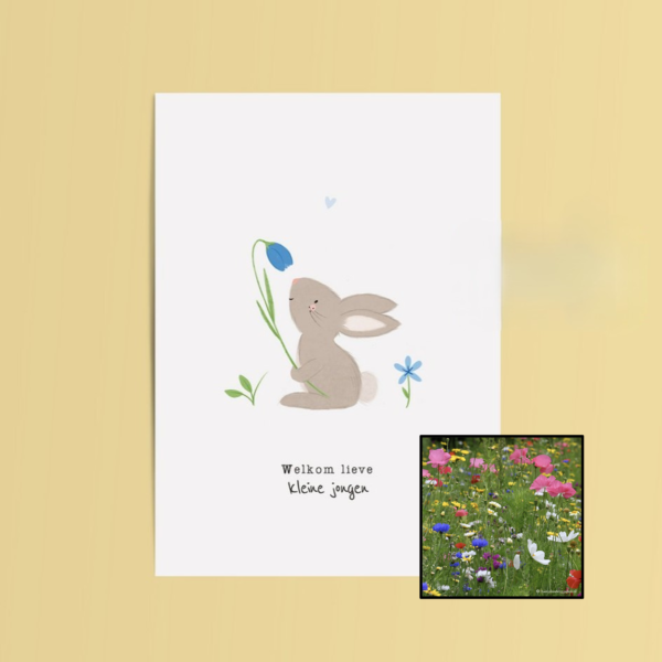 Welkom Jongen | Bloemenzaad