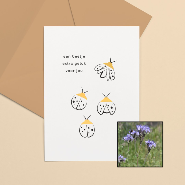 Lieveheersbeestje | Bloemenzaad