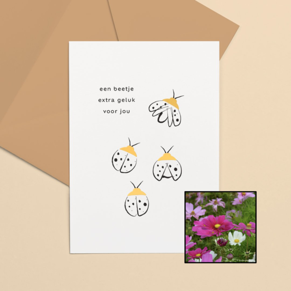 Lieveheersbeestje | Bloemenzaad