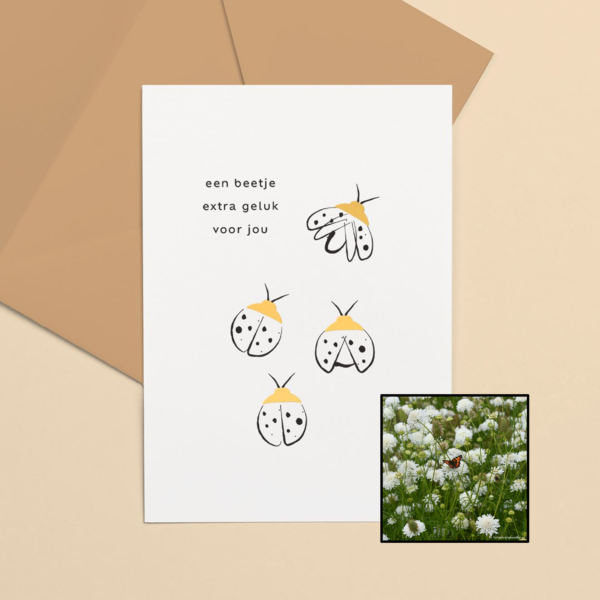 Lieveheersbeestje | Bloemenzaad