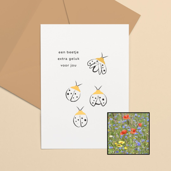 Lieveheersbeestje | Bloemenzaad