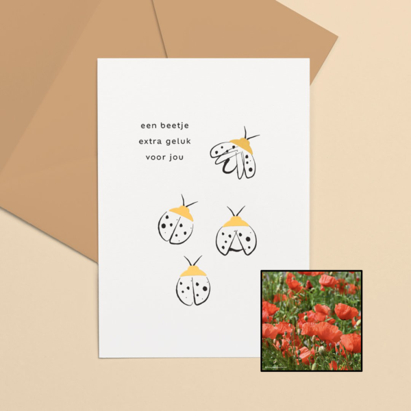 Lieveheersbeestje | Bloemenzaad