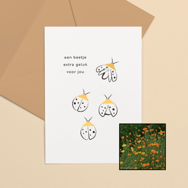 Lieveheersbeestje | Bloemenzaad