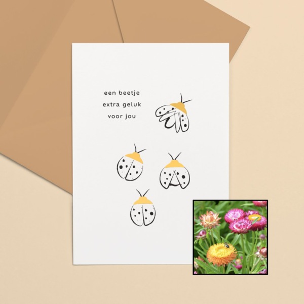 Lieveheersbeestje | Bloemenzaad