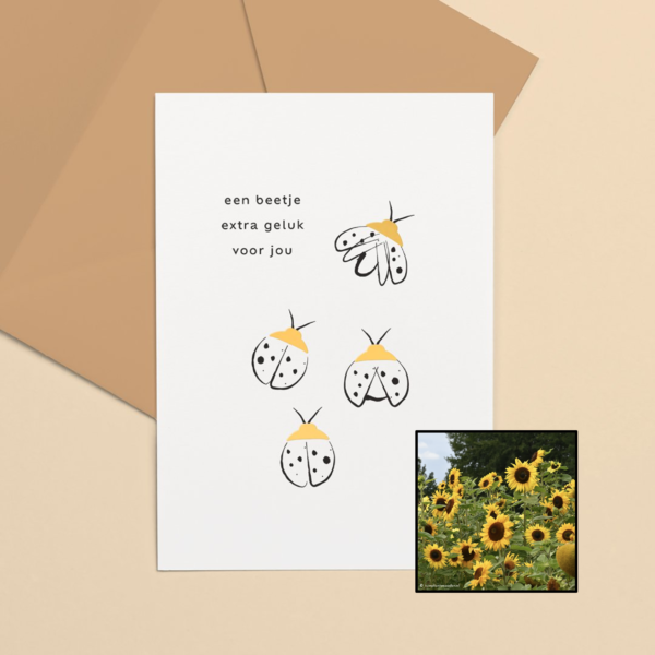 Lieveheersbeestje | Bloemenzaad