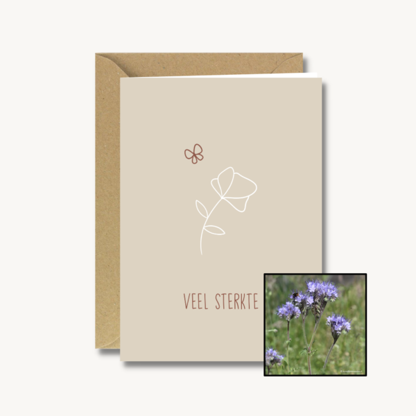 Medeleven | Bloemenzaad