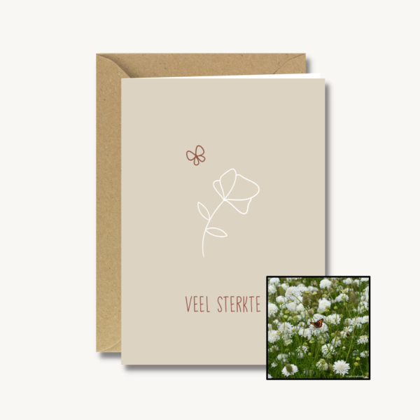 Medeleven | Bloemenzaad