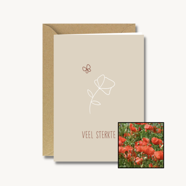 Medeleven | Bloemenzaad