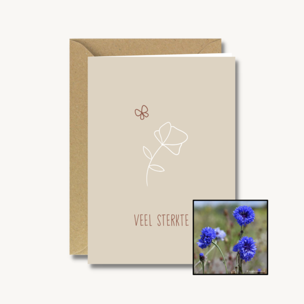 Medeleven | Bloemenzaad