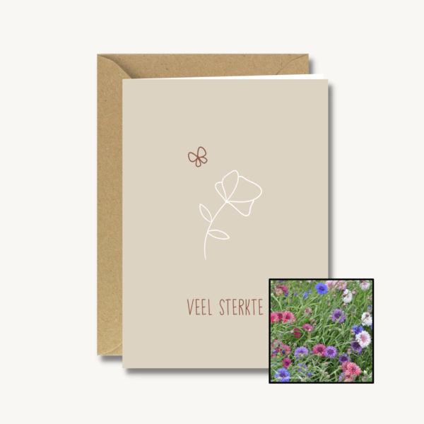 Medeleven | Bloemenzaad