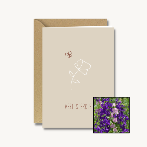 Medeleven | Bloemenzaad