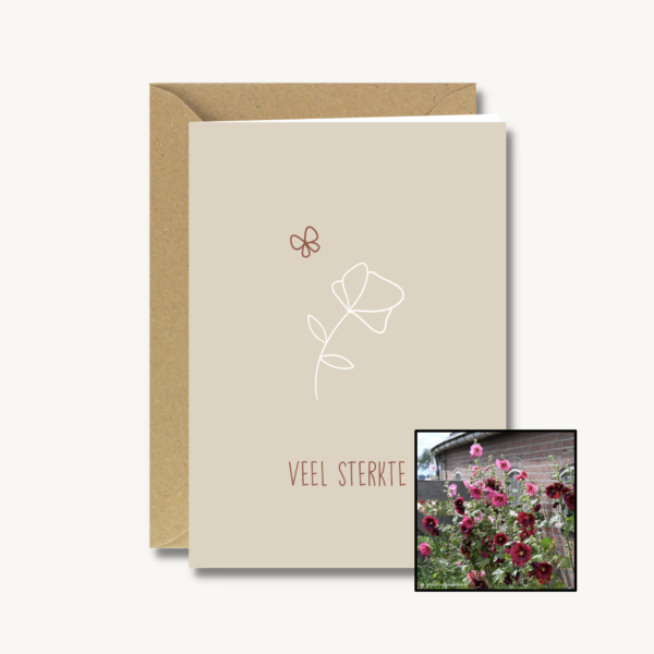 Medeleven | Bloemenzaad