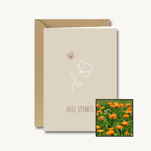 Medeleven | Bloemenzaad