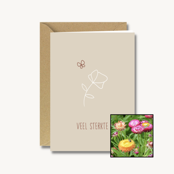 Medeleven | Bloemenzaad