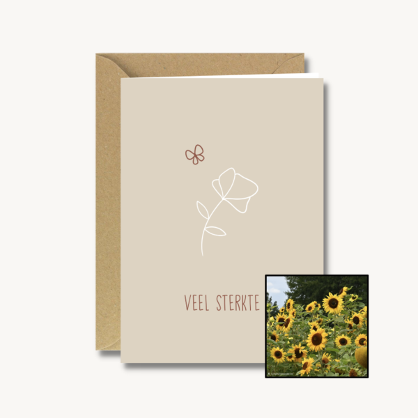 Medeleven | Bloemenzaad