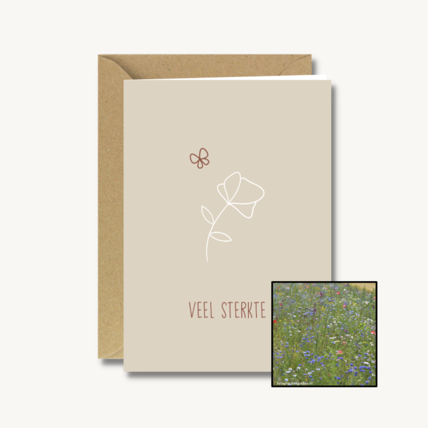 Medeleven | Bloemenzaad