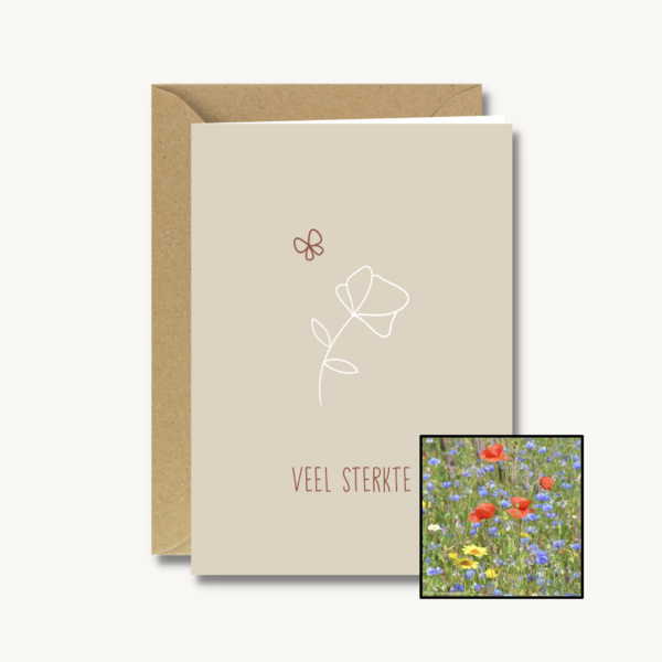 Medeleven | Bloemenzaad