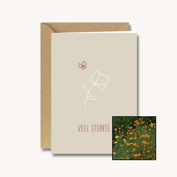 Medeleven | Bloemenzaad