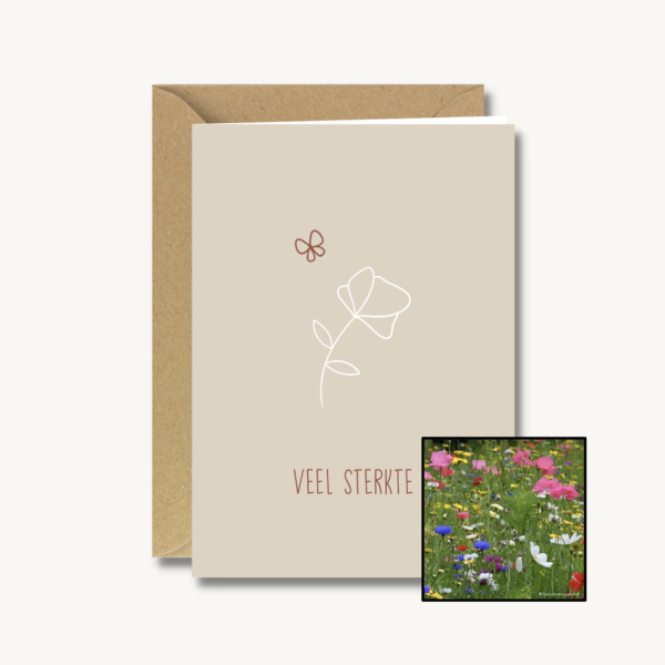 Medeleven | Bloemenzaad