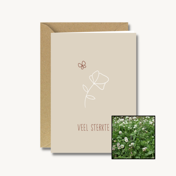 Medeleven | Bloemenzaad