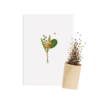Boeket & Bij | Bloemenzaad