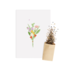 Bundel Bloemen | Bloemenzaad