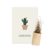 Gefeliciteerd Cactus | Bloemenzaad