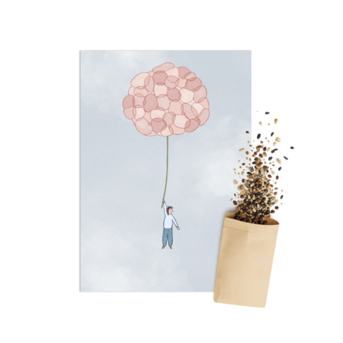 Hortensia | Bloemenzaad