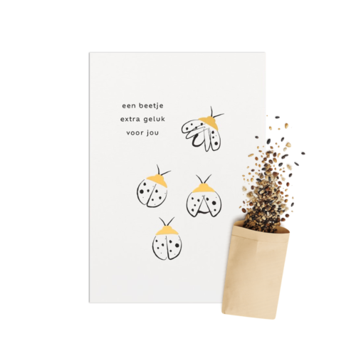 Lieveheersbeestje | Bloemenzaad