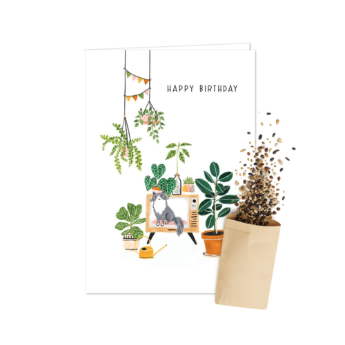 Verjaardag Planten | Bloemenzaad