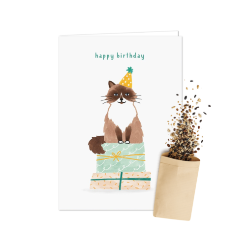 Verjaardagskat | Bloemenzaad