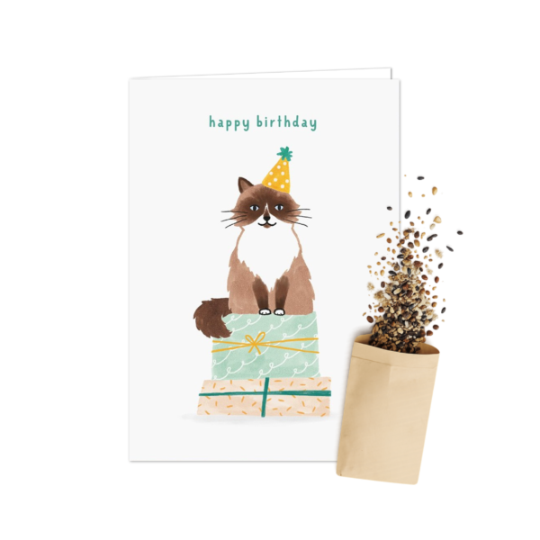 Verjaardagskat | Bloemenzaad