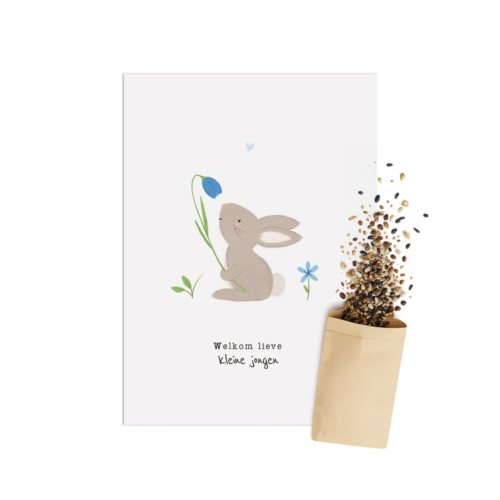 Welkom Jongen | Bloemenzaad