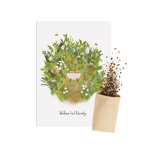 Welkom Lief Kleintje | Bloemenzaad