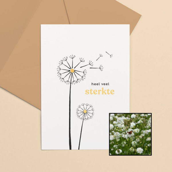 Sterkte | Bloemenzaad