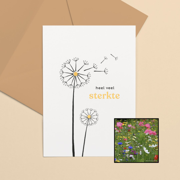 Sterkte | Bloemenzaad