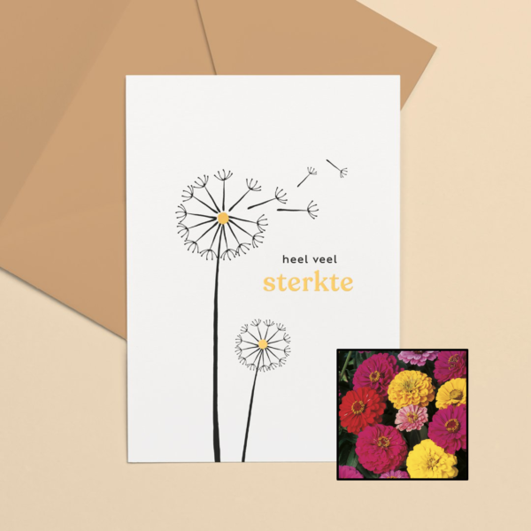 Sterkte | Bloemenzaad