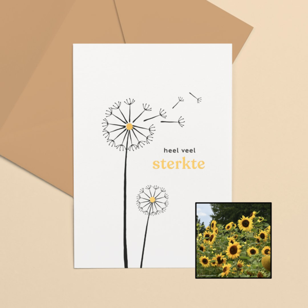 Sterkte | Bloemenzaad