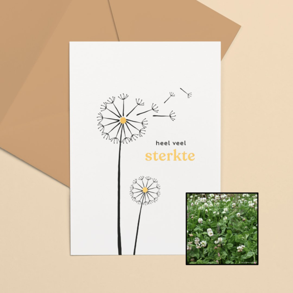 Sterkte | Bloemenzaad