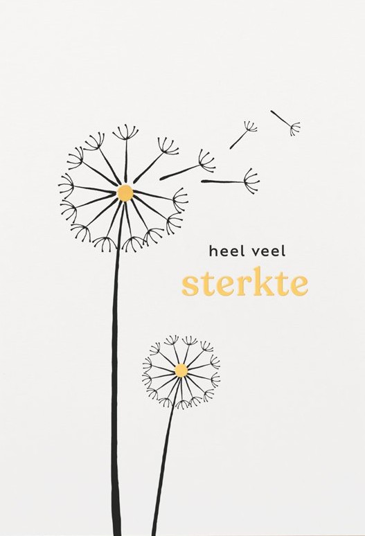 Sterkte | Bloemenzaad