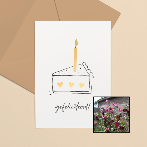 Taartpunt | Bloemenzaad