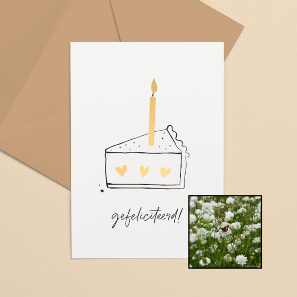 Taartpunt | Bloemenzaad