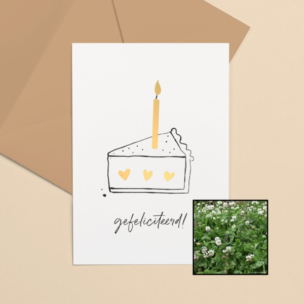 Taartpunt | Bloemenzaad