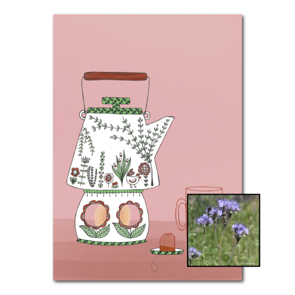 Theepot | Bloemenzaad