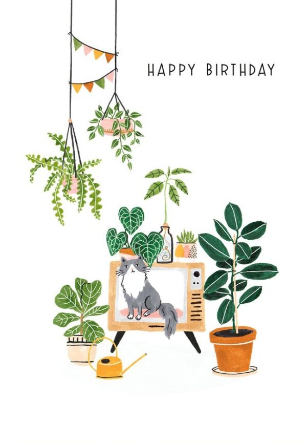 Verjaardag Planten | Bloemenzaad