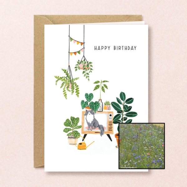 Verjaardag Planten | Bloemenzaad