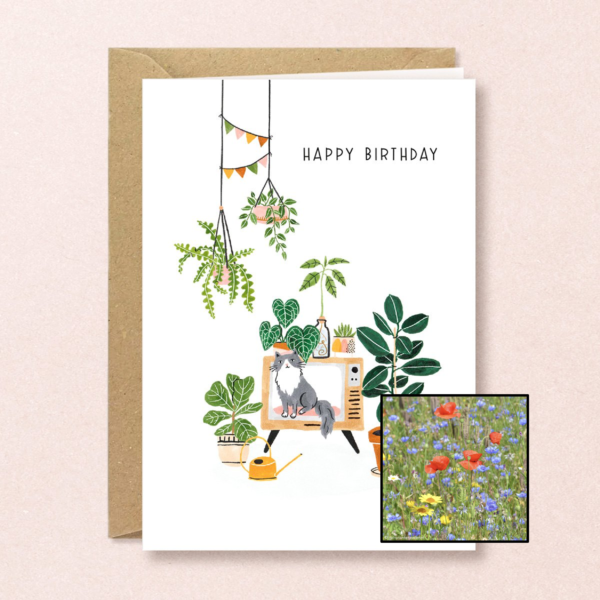 Verjaardag Planten | Bloemenzaad