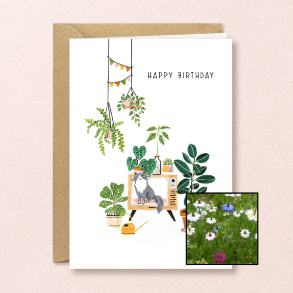 Verjaardag Planten | Bloemenzaad