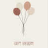 Verjaardagsballoon | Bloemenzaad